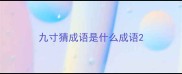 九寸猜成语是什么成语