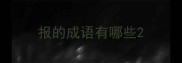 报的成语有哪些