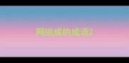 网组成的成语