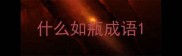 什么如瓶成语