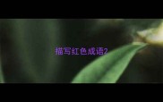 描写红色成语