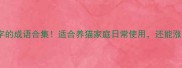 含猫字的成语合集适合养猫家庭日常使用还能涨知识