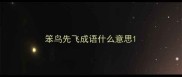 笨鸟先飞成语什么意思