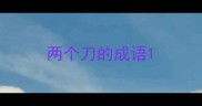 两个刀的成语