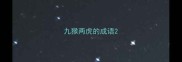 九猴两虎的成语