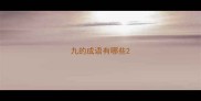 九的成语有哪些