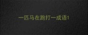 一匹马在跑打一成语