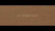 关于感激的成语