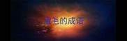 眉毛的成语