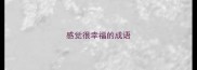 感觉很幸福的成语