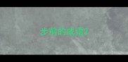 步前的成语