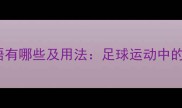 形容踢球的成语有哪些及用法足球运动中的经典文化表达