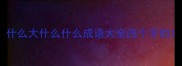 什么大什么什么成语大全四个字的