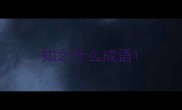 知之什么成语