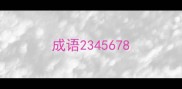 成语2345678