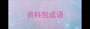 资料包成语