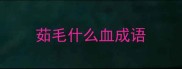 茹毛什么血成语