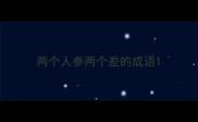 两个人参两个差的成语