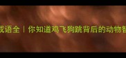 100个动物成语全你知道鸡飞狗跳背后的动物智慧吗