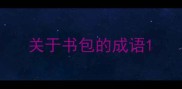 关于书包的成语