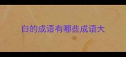 白的成语有哪些成语大