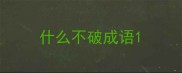 什么不破成语