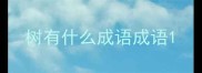 树有什么成语成语