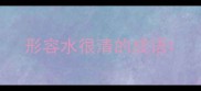 形容水很清的成语