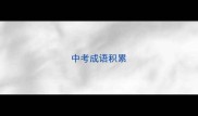 中考成语积累