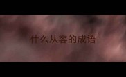 什么从容的成语