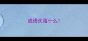 成语失落什么