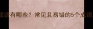 飞在前面的成语有哪些常见且易错的5个成语及正确用法