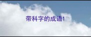 带科字的成语