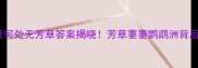 成语谜语天涯何处无芳草答案揭晓芳草萋萋鹦鹉洲背后的故事与寓意