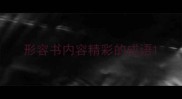 形容书内容精彩的成语