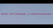 趣味成语一只鸭子引发的成语故事15个与动物相关的经典成语及寓意