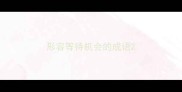 形容等待机会的成语