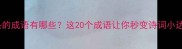 第一诗字开头的成语有哪些这20个成语让你秒变诗词小达人附详细