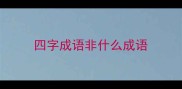四字成语非什么成语