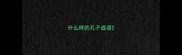 什么样的孔子成语