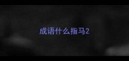 成语什么指马