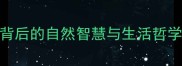 秋高气爽秋日成语背后的自然智慧与生活哲学附10个秋字成语
