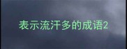 表示流汗多的成语