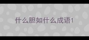 什么胆如什么成语
