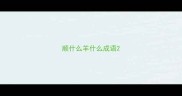 顺什么羊什么成语