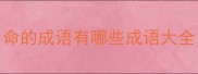 命的成语有哪些成语大全