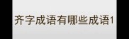 齐字成语有哪些成语
