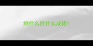 纲什么目什么成语