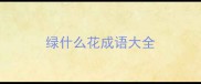 绿什么花成语大全