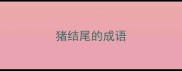 猪结尾的成语